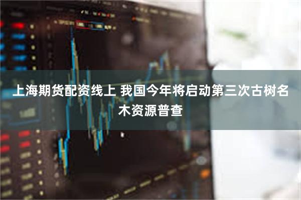 上海期货配资线上 我国今年将启动第三次古树名木资源普查