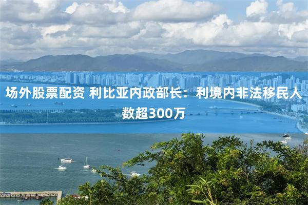 场外股票配资 利比亚内政部长：利境内非法移民人数超300万