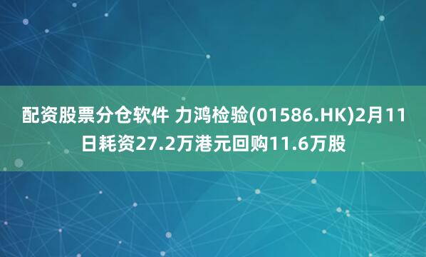 配资股票分仓软件 力鸿检验(01586.HK)2月11日耗资27.2万港元回购11.6万股