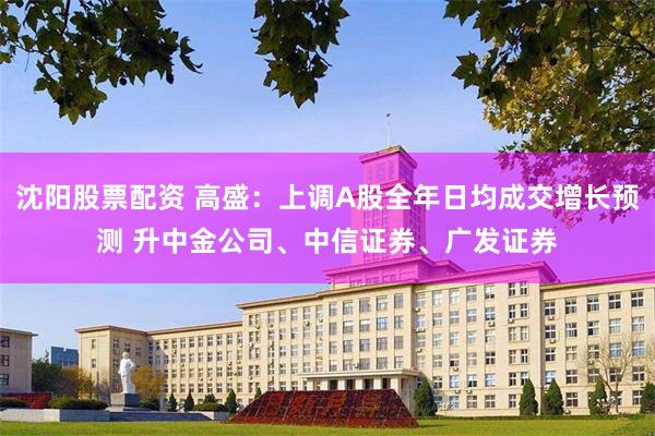 沈阳股票配资 高盛：上调A股全年日均成交增长预测 升中金公司、中信证券、广发证券