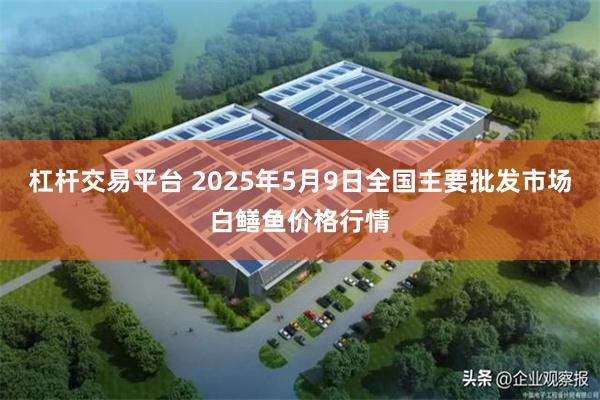 杠杆交易平台 2025年5月9日全国主要批发市场白鳝鱼价格行情