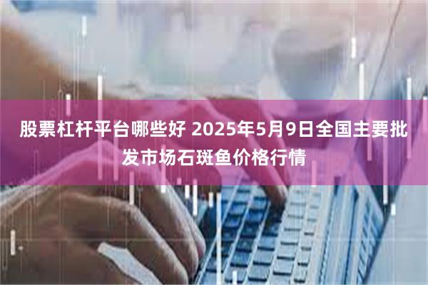 股票杠杆平台哪些好 2025年5月9日全国主要批发市场石斑鱼价格行情