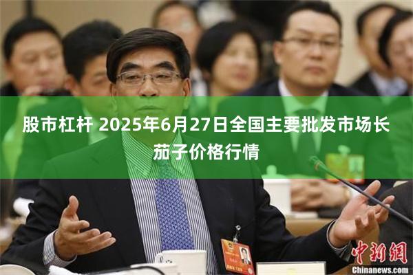 股市杠杆 2025年6月27日全国主要批发市场长茄子价格行情