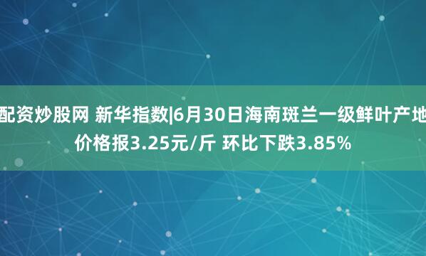 配资炒股网 新华指数|6月30日海南斑兰一级鲜叶产地价格报3.25元/斤 环比下跌3.85%
