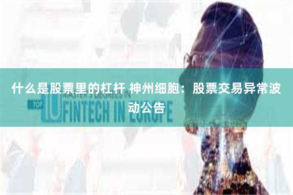 什么是股票里的杠杆 神州细胞：股票交易异常波动公告
