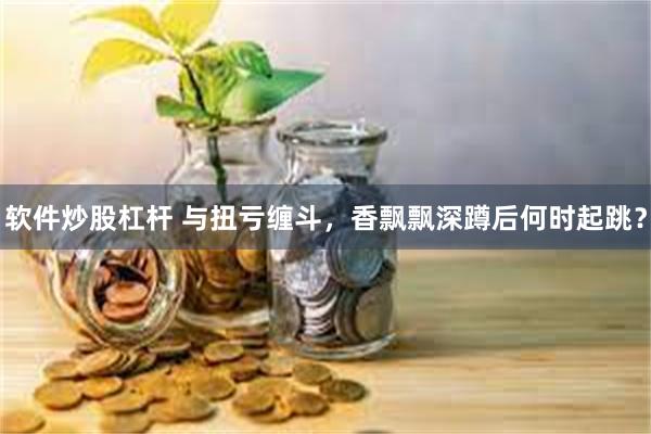 软件炒股杠杆 与扭亏缠斗，香飘飘深蹲后何时起跳？