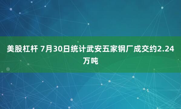 美股杠杆 7月30日统计武安五家钢厂成交约2.24万吨