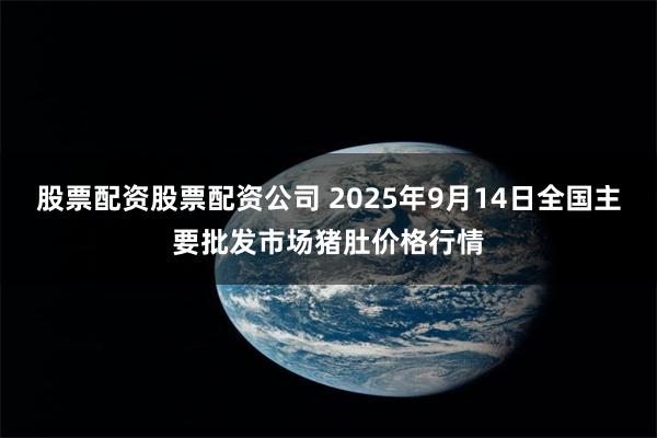 股票配资股票配资公司 2025年9月14日全国主要批发市场猪肚价格行情