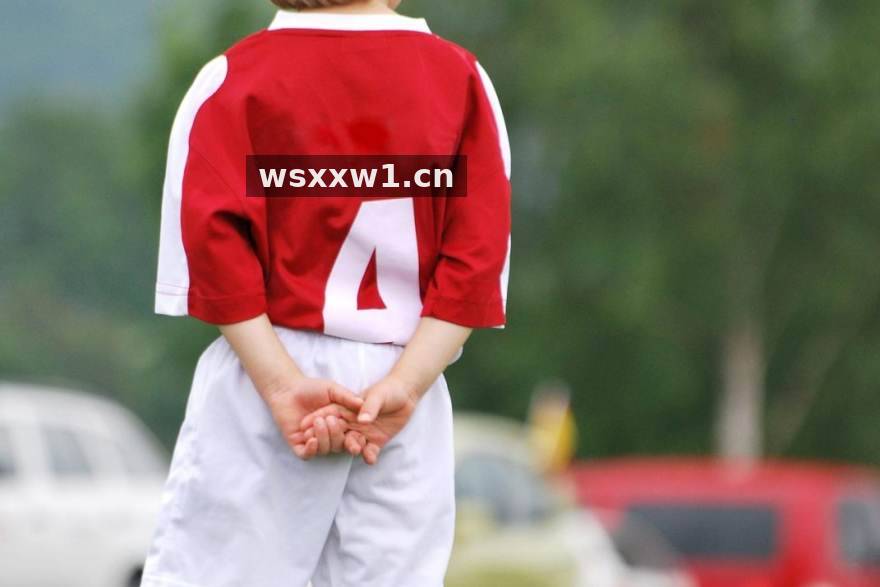 S16英雄联盟总决赛深度战术解析服务